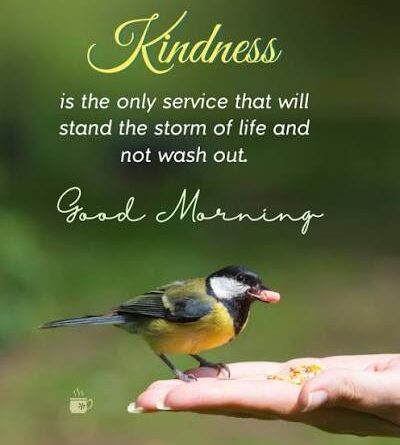 Good Morning Positive Vibes